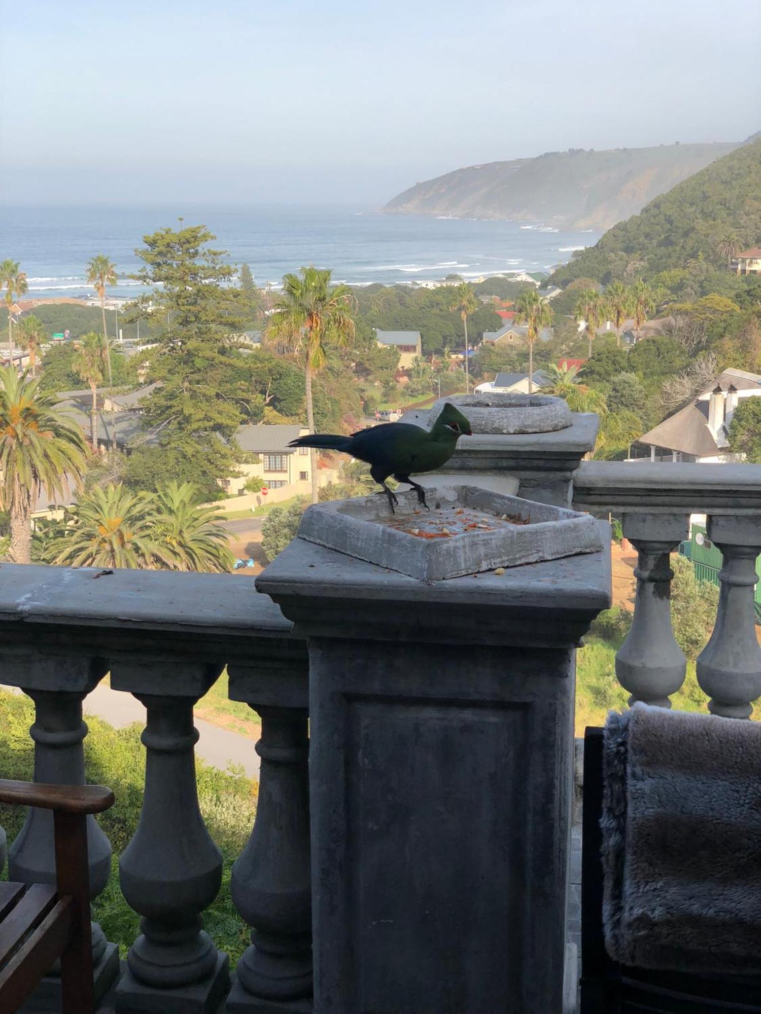 Livingstone Villa Wilderness Bagian luar foto