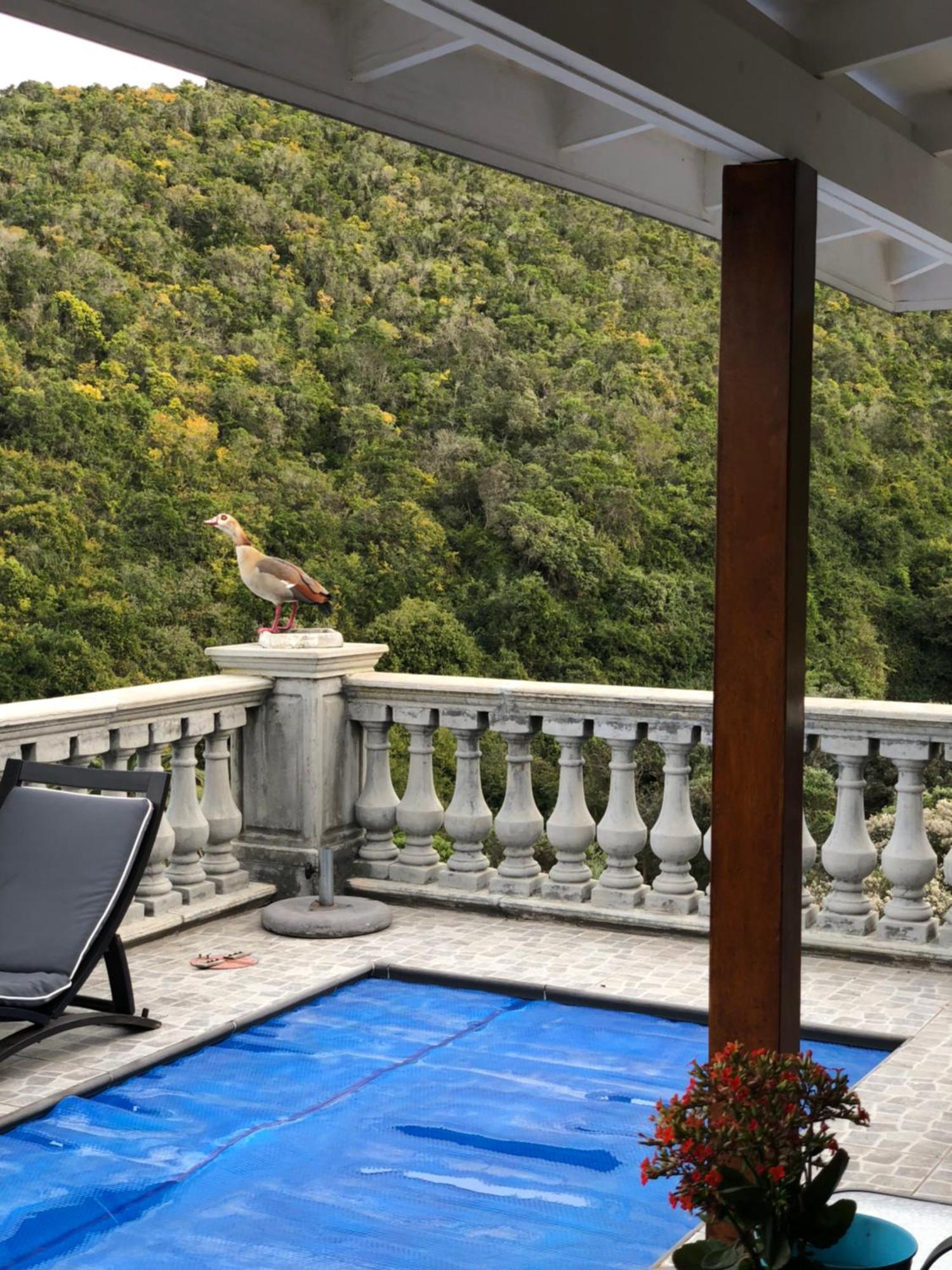 Livingstone Villa Wilderness Bagian luar foto