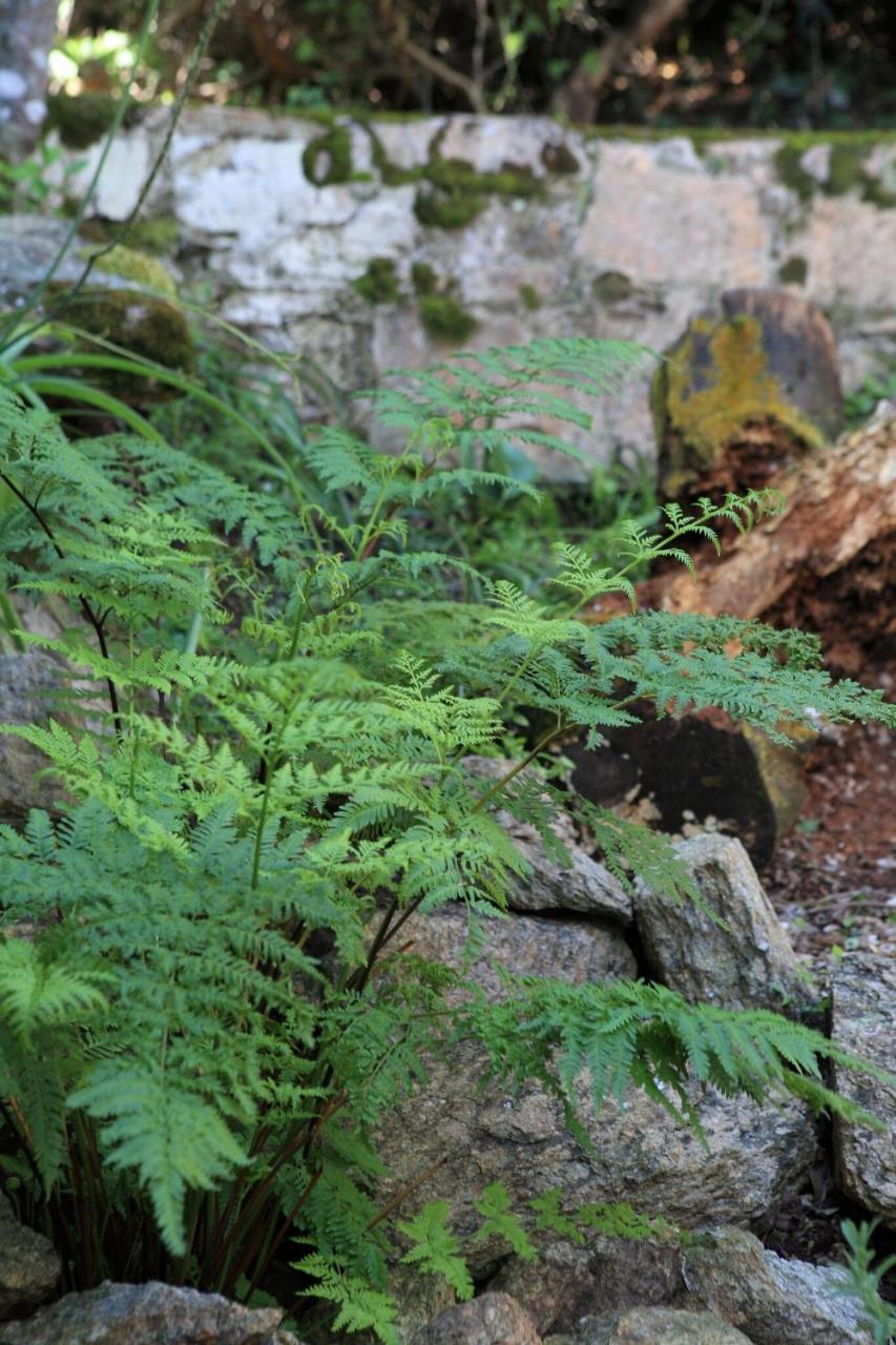 Livingstone Villa Wilderness Bagian luar foto