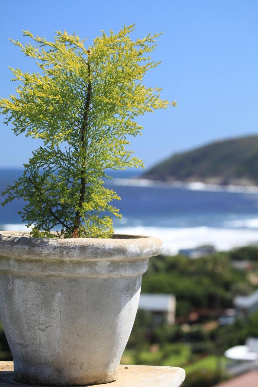 Livingstone Villa Wilderness Bagian luar foto